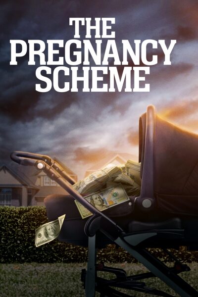 The Pregnancy Scheme / The Pregnancy Scheme