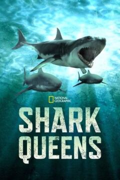 დედოფალი ზვიგენები / Shark Queens