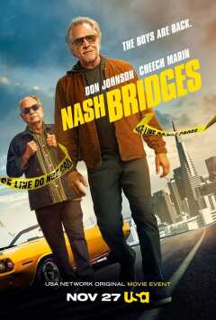 ნეშ ბრიჯესი / Nash Bridges